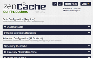 ZenCache Pro Options