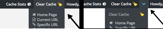 ZenCache Clear Cache Menu Options Styles