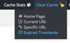 ZenCache Pro - Clear Expired Transients