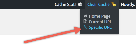 Clear Cache Options: Specific URL